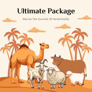 Ultimate Package
