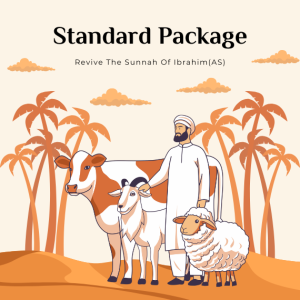 Standard Package