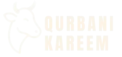 qurbanikareem